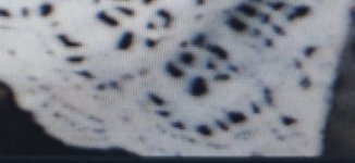 1708081308920.jpg