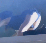 MB03.gif