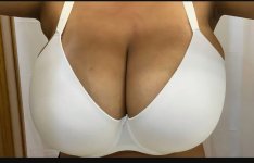 whitebra.jpg