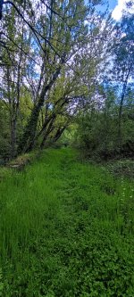 IMG_20240502_131451.jpg