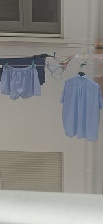 IMG_20240508_141343.jpg