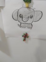 IMG_20240524_213734.jpg IMG_20240524_213734.jpg