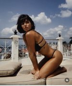 IMG_3041.jpeg