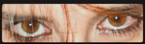 IMG_20240707_095031.jpg IMG_20240707_095031.jpg