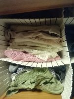 IMG_20240708_162848_413.jpg