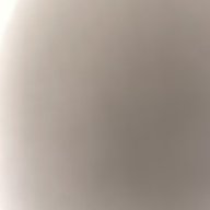 delrf31
