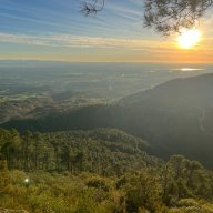 pandereta1