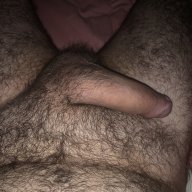 Pollitabi