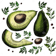 aguacate8573