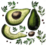 aguacate8573