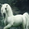 Unicornio