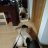 murciano_22