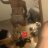 Femboy40