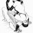 luismi_zgz